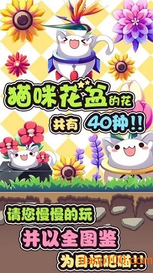 猫咪花盆2026下载 猫咪花盆2026下载
