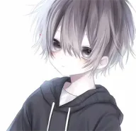 ����������3.0v990 �ֻ���