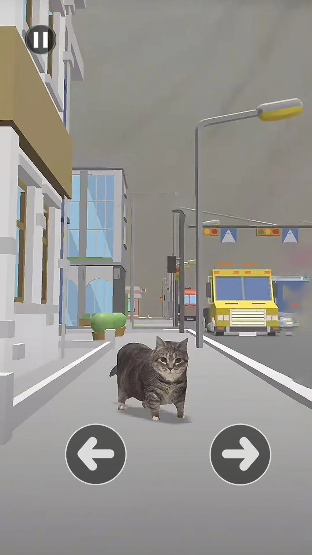 小猫过马路2026下载安装 小猫过马路2026下载安装