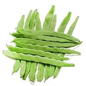 С�˶���׿���ֻ���v4.1 �ٷ���