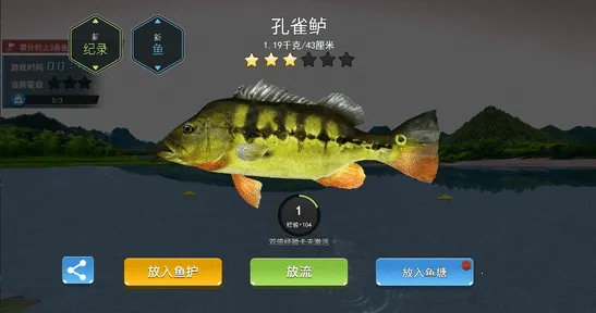 �����ʦ�����İ�����