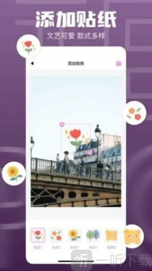 1DM�����ֻ���