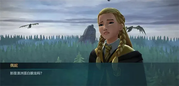 �������ػ����ִ�֮���ƽ��������ʯ