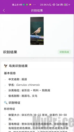 ʶ��2026����