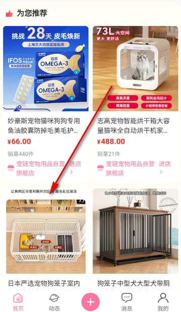 ��������2026�ٷ����°汾