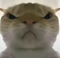 �������ж����󹤾�2026�ٷ����°汾v1.0 �ٷ���