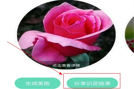 形色2026下载 形色2026下载