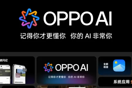 小布记忆(AI信息管理) 小布记忆(AI信息管理)