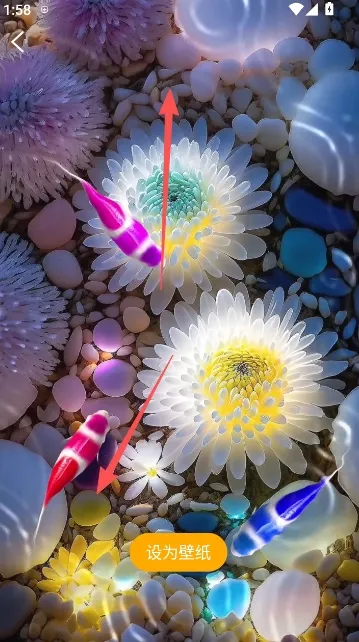 锦鲤金鱼壁纸2026最新版本