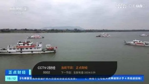 飞鸟影视2026官方正版