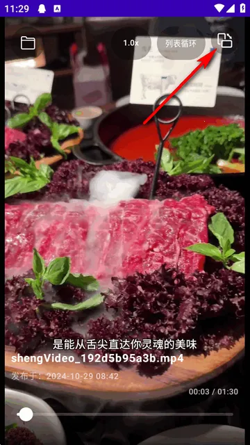 TikAlbum(文件播放器)