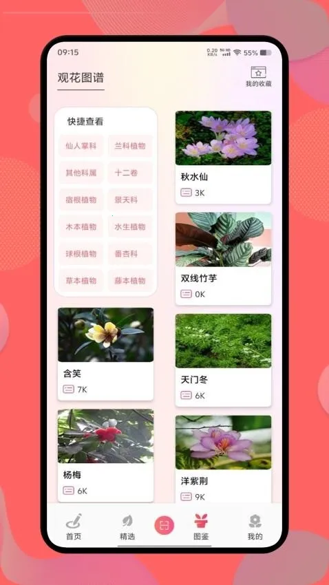 花社区(花草知识平台) 花社区(花草知识平台)