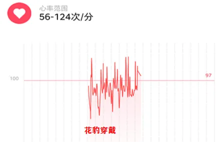 花豹穿戴2026最新版本