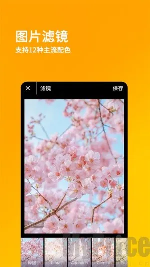 刷兔圈最新手机版