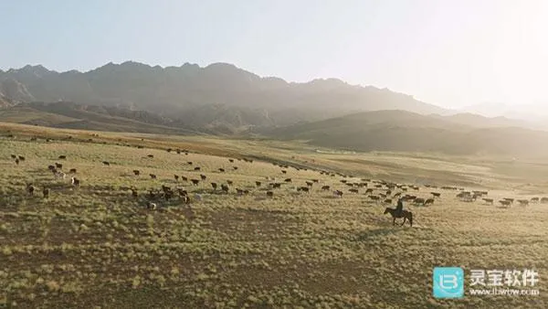 全聚合TV使用教程7