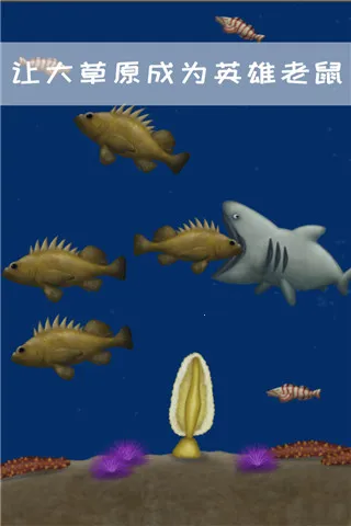 永恒美味星球2026官方最新版本