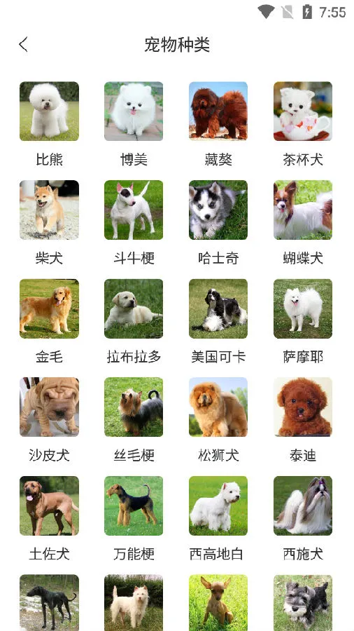 动物翻译器全部动物