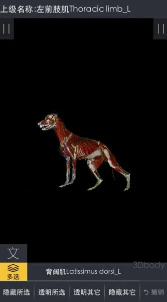 3dbody宠物app免费下载