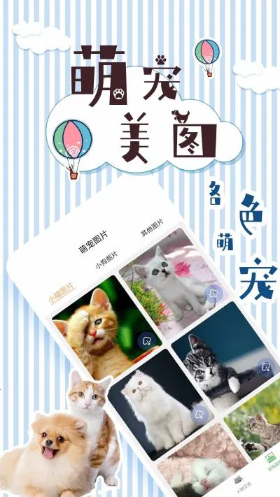 人猫翻译交流器2026最新版本
