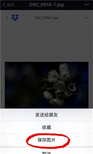 dropbox2026下载安装