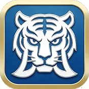 白虎TV最新手机版