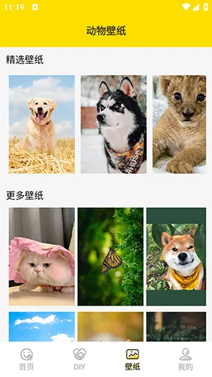 ���ӱ����2026�ٷ�����