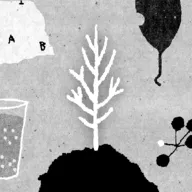 ������(����������Ϸ)v1.51 �ֻ���