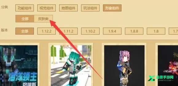 skinseedƤ���༭��