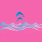 玩动相册2026最新版本