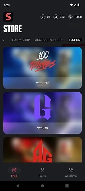 ValoStore(瓦罗兰特交易软件)