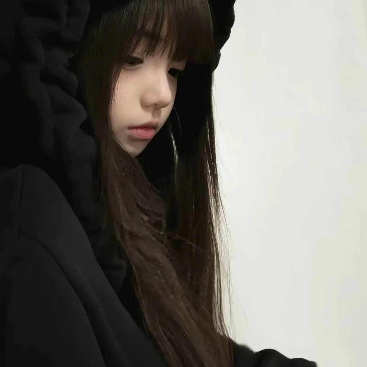 ���������Զ�2026����v2.0.12.30 �ٷ���