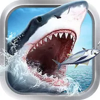 钓鱼大神捕鱼(钓鱼大神游戏攻略)