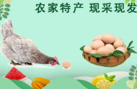 淮滨点点(生活服务平台)