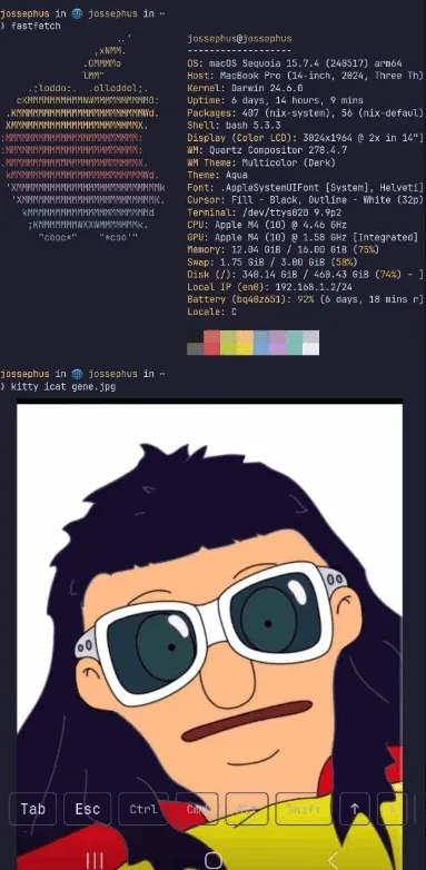chuchu2026最新版本