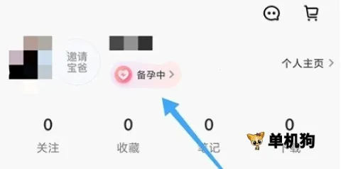 丁香妈妈(育儿服务平台)