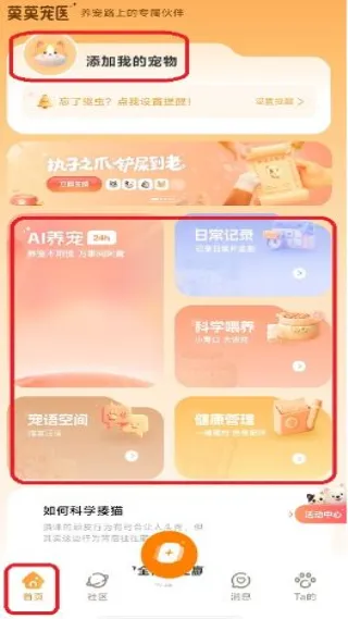 莫莫宠医2026官方正版