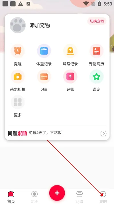 铲屎官的日常2026最新版本 铲屎官的日常2026最新版本