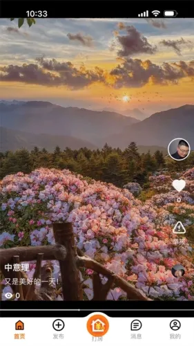 ����YOWO2026�ٷ�����