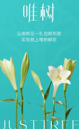 唯树鲜花(鲜花网购平台) 唯树鲜花(鲜花网购平台)