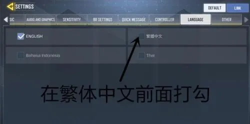 codm国际服