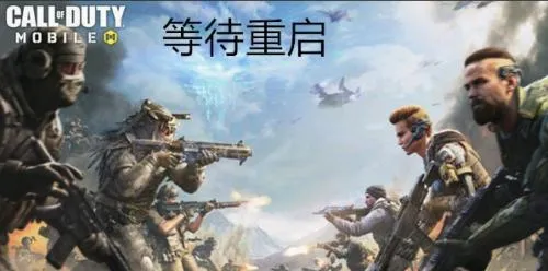 codm国际服