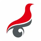 学信网2026最新版本