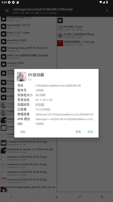 DY������2026���°汾