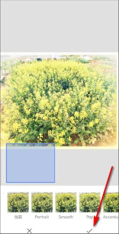 BetterSeed安卓版手机版 BetterSeed安卓版手机版