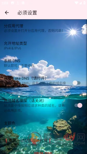 Ѳ��˽��2026���°汾