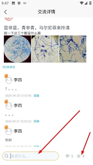 ����ʶ����׿���ֻ���